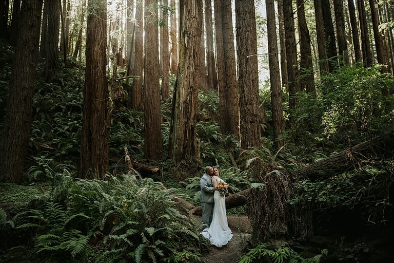 best places to elope in california sonoma coast 2
