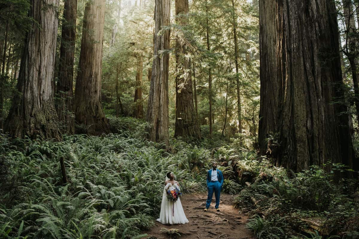 Redwoods elopement brookings oregon 874 2