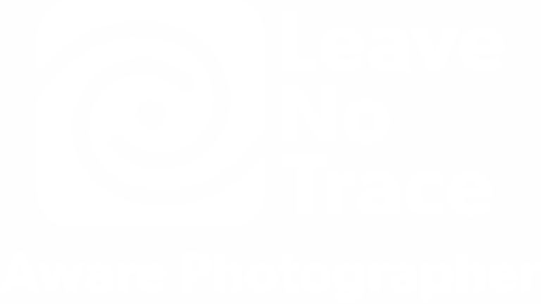 White Badge Transparent Background