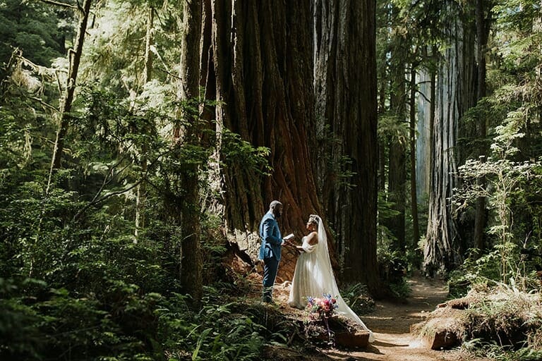 how to elope in california redwoods
